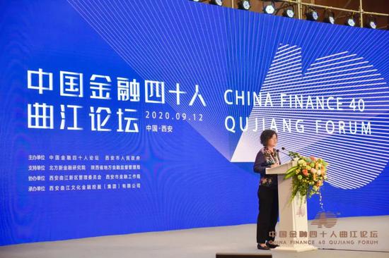 陈元蔡鄂生黄奇帆李若谷张晓慧共论“双循环” 收入分配是焦点