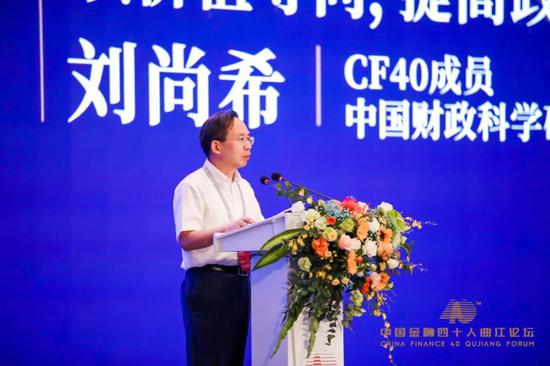 陈元蔡鄂生黄奇帆李若谷张晓慧共论“双循环” 收入分配是焦点