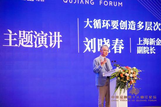 陈元蔡鄂生黄奇帆李若谷张晓慧共论“双循环” 收入分配是焦点