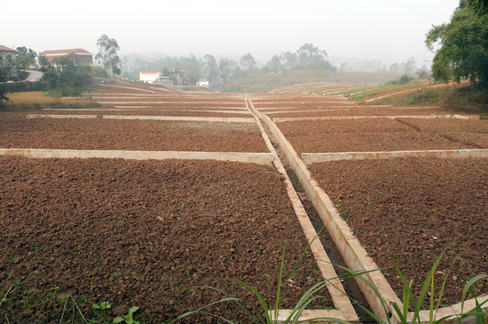 农业劳动人口_人口普查