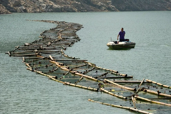 在长江支流湖北宜昌兰陵溪水域,工作人员在对人工鱼巢进行日常检查维护。新华社发(雷勇摄)