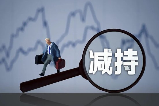 股价暴涨450%,鲁丽系把公司卖给股民了