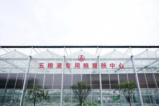 守护“五诀”之首,五粮液以“和美种植”赋能“大国浓香”