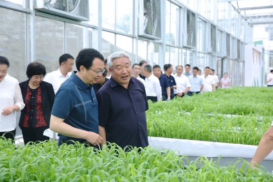 守护“五诀”之首,五粮液以“和美种植”赋能“大国浓香”