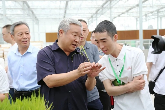 守护“五诀”之首,五粮液以“和美种植”赋能“大国浓香”