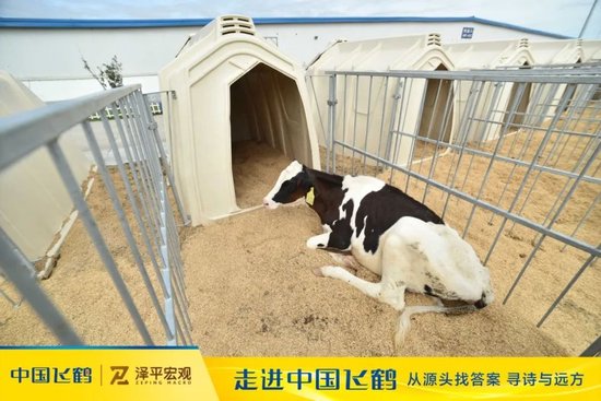 飞鹤冷友斌谈奶粉行业三聚氰胺事件