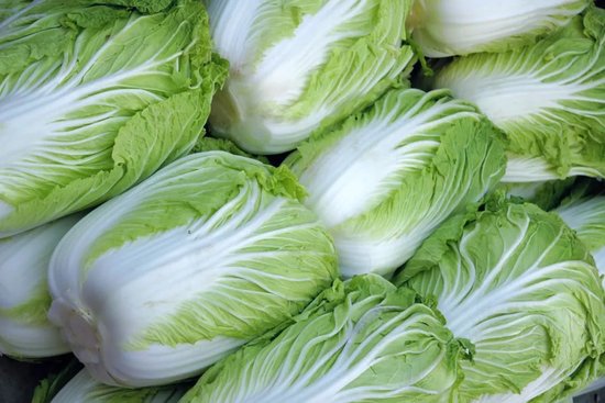 2毛一斤！白菜卖出“白菜价”，更有部分蔬菜代价“跳水”「白菜两毛钱一斤」