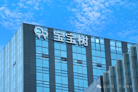 母婴赛道没有新故事,宝宝树的未来发展道阻且艰 第1张 母婴赛道没有新故事,宝宝树的未来发展道阻且艰 第1张