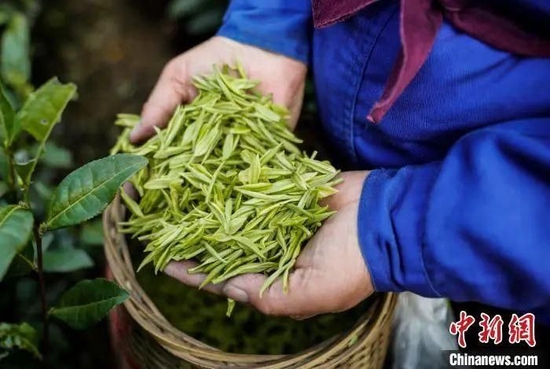 年轻人爱上“围炉煮茶”，为何茶企却赚不到钱