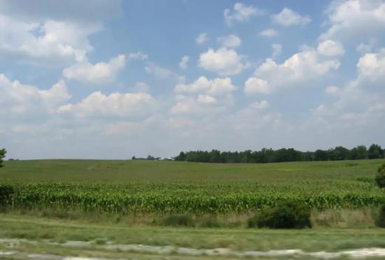 ▲伊利诺伊州的玉米地