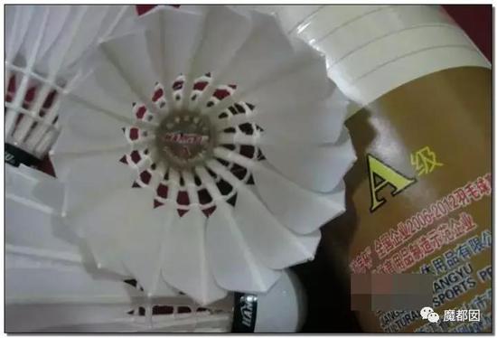 是不是感觉这个知识越来越冷了?