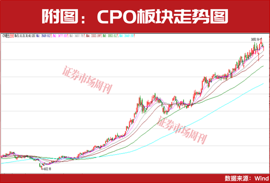 大涨超300%!这个行业2026年仍将继续上涨!