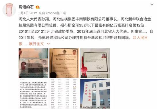 80后百亿总裁孙翔被曝双重国籍 人大代表职务被罢免