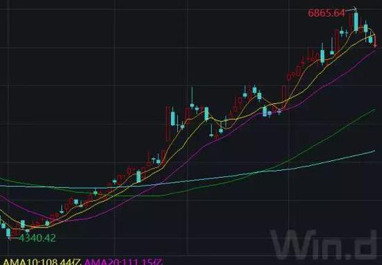 2019����������ָ������