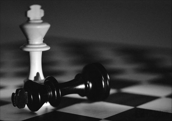 蔡嵩松离任，诺安基金告别迷人的进攻性，拥抱沉闷的可持续