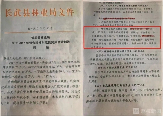 男子承包的上千棵核桃树被砍！村支书：村民自发砍的，村民：镇政府和村委会授意的！当地已成立调查组