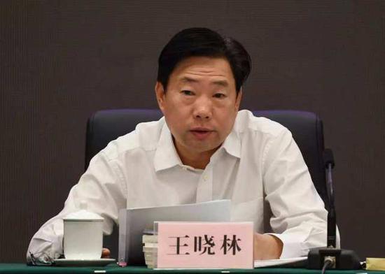 王晓林简历