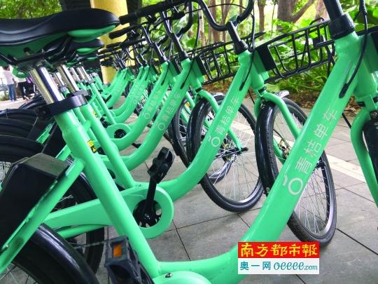 昨日,深圳宝安区路边的滴滴自有品牌共享单车。 南都记者 张馨怡 摄