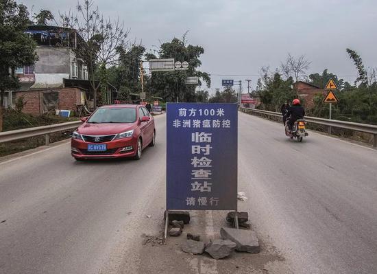  2019年2月12日，重庆大足县区公路的非洲猪瘟临时检查站。随着非洲猪瘟疫情不断升温，各国政府无不上紧发条进行防疫。图/视觉中国