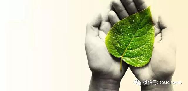 最后,我想分享一个故事:《一棵受伤的树》