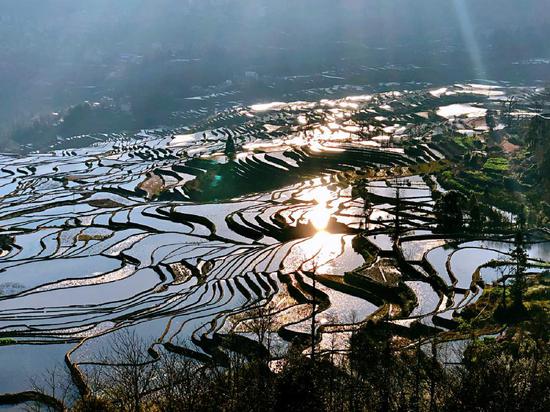 哈尼梯田美景 图片来源：梁建章拍摄