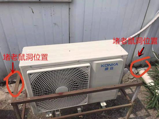 金美花丈夫堵老鼠洞的位置