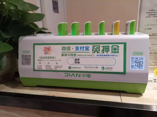 彩票追号投注计算器下载|夏天吊兰就要这样养,长势爆盆,开花不断