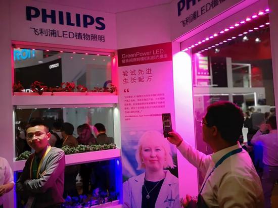 申博游戏有人玩么,巴菲特点破中国股市:如果手中10万资金想快速赚到510万,建议死记“新量新价有新高,缩量回调不必逃”