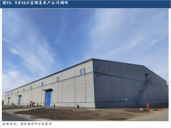 【调研报告】黑龙江东部玉米大豆调研报告