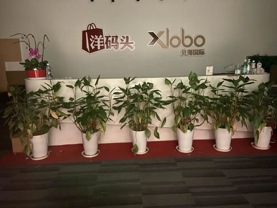 图注:洋码头总部前台,Tech星球拍摄。