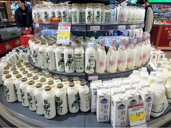 光明乳业，输在不够骚