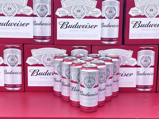 第十八届中国国际酒业博览会“惠享泸州 乐享江阳”啤酒嘉年华开幕