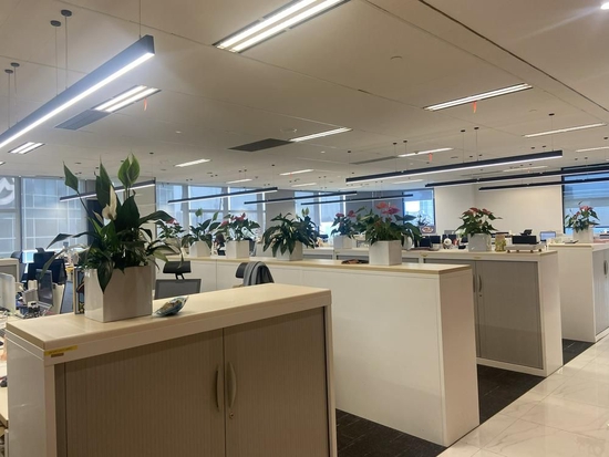 实探泄密风波中的凯盛融英：总部仍正常办公 员工表示暂无影响