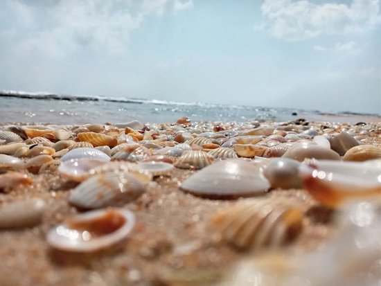 俞敏洪：不要把职场看成你混日子的地方，人修炼在人群中最容易完成