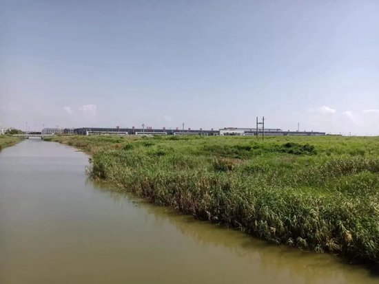 正威集团生死局：员工长期没活干 为赶工期糊弄人