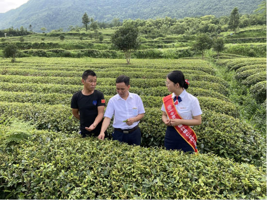 普惠金融推进月 | 向下扎根、向上成长,工行擦亮普惠金融为民底色