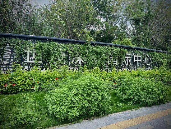 (项目现场荒草丛生,中房君7月19日摄)