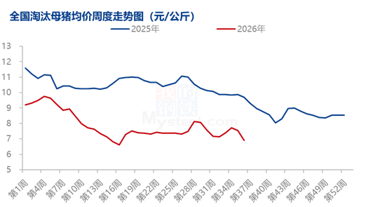 8月能繁母猪调减加速，产能去化从“被动”转向“主动”