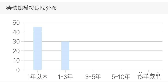 待偿规模期限分布