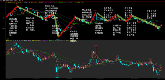 PX-PTA-MEG:“反内卷”之风再起,预期改善