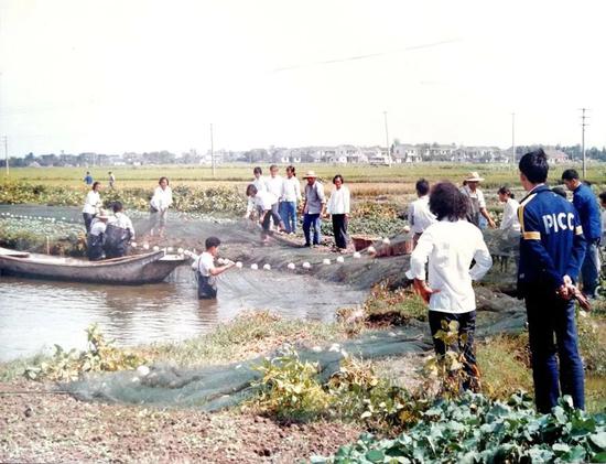 中国农村人口有健保吗_全中国人口有多少人