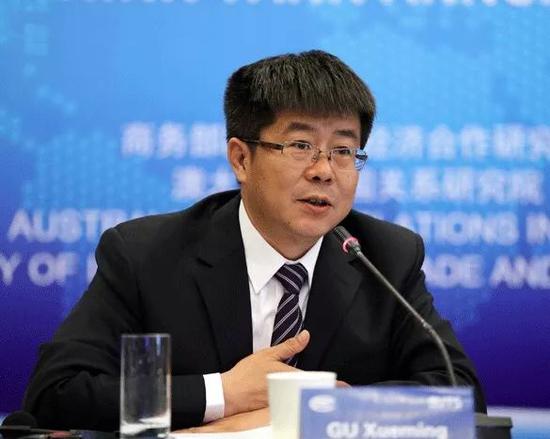 全国政协委员、商务部研究院院长、研究员 顾学明