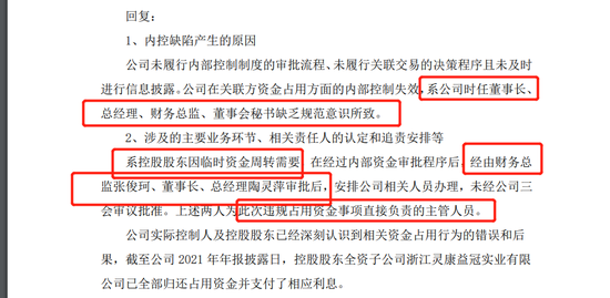 董秘兼财总参与操刀“资金占用”，被罚100万