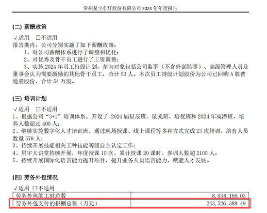 星宇股份再现重大财报差错，2.44万亿外包费用？