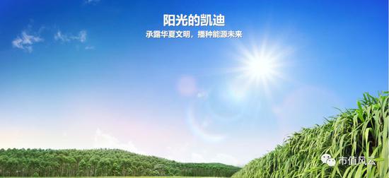 年报不出股票不复牌 解密凯迪生态隐藏3年的募