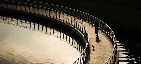 该红的不红 该红的不红