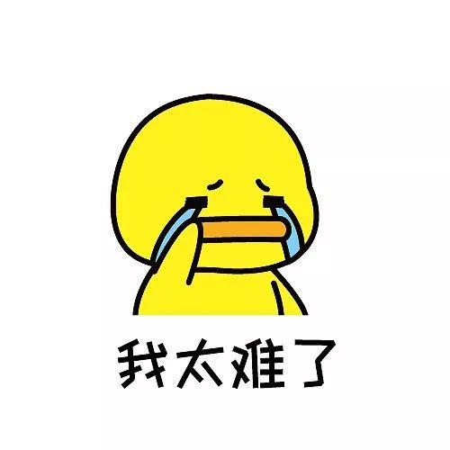 bst365体育网站平台_张柏芝带儿子准备圣诞夜,Lucas和Quintus大摆pose有谢霆锋的风范