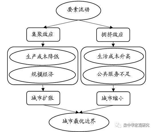 来源:资料整理,中泰证券研究所