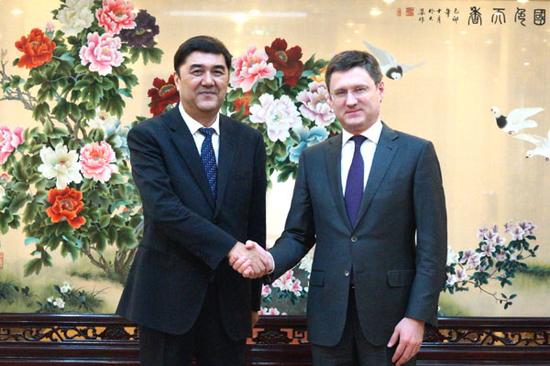 国家能源局局长努尔-白克力会见俄罗斯能源部