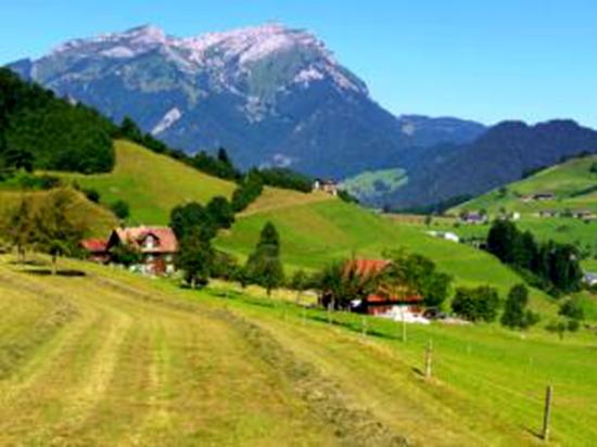 欧盟劳工抢饭碗 瑞士民众公投说不|瑞士|欧盟|移